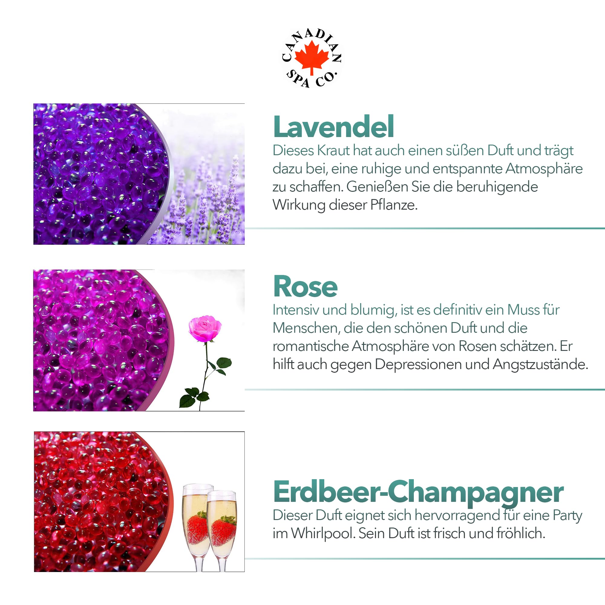 CANADIAN SPA CO. Aromatherapie Pool Duft, 6er-Set mit Eukalyptus, Rose, Grüner Tee, Lavendel, Kamille, Erdbeere-Champagner Düfte für Pools mit Aromatherapiefunktion