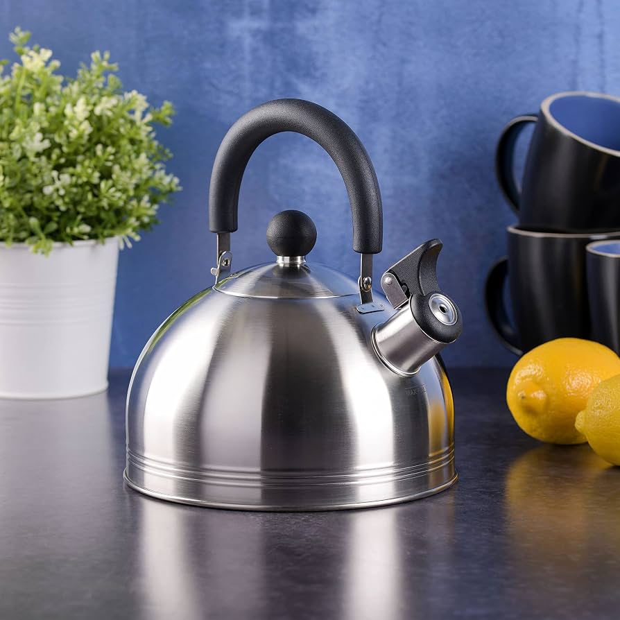 Amazon.com: Mr. Coffee Carterton Stainless Steel Whistling Tea