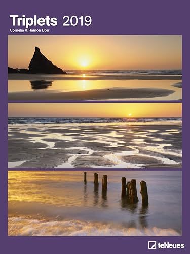 2019 Triplets Poster Calendar - teNeues - Art Calendar- 48 x 64 cm