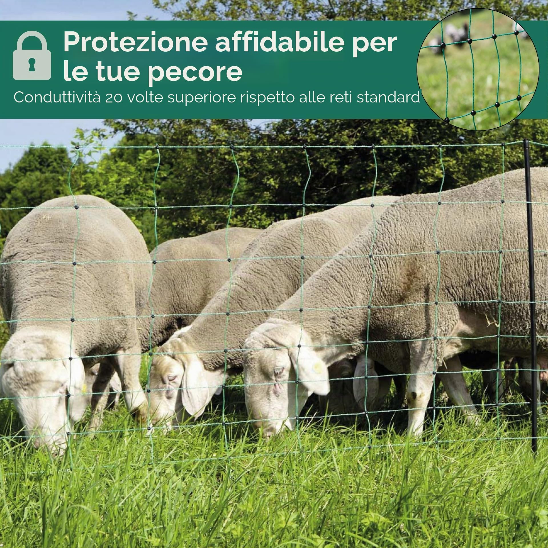 Agrarzone Rete per pecore elettrificabile Classic 50 m x 108 cm - Robusta e sicura con doppia punta - Ideale per pecore, capre, agnelli e pollame - Include pali e accessori