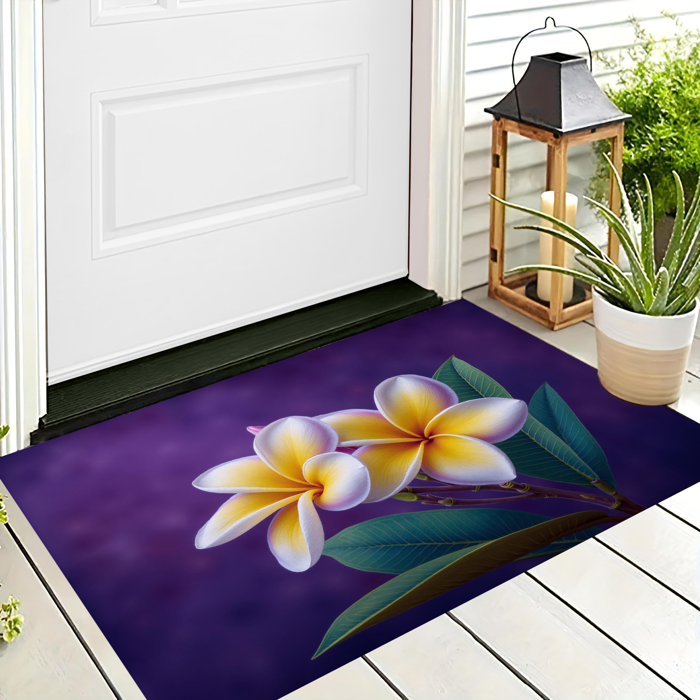Tapis pour cuisine et porte d'entrée antidérapant lavable en machine