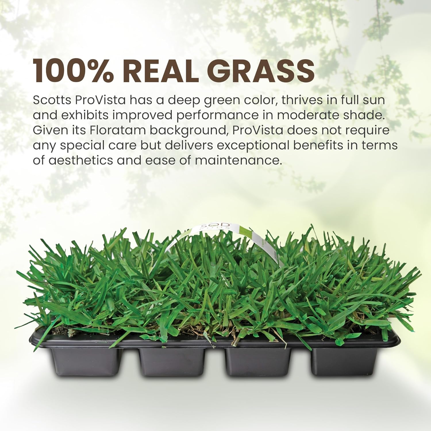 SodPods® St. Augustine Scotts® ProVista™ Grass Plugs for Lawn Repair, 3" x 3" Each (32-Count) – Cannot Ship to California/Arizona