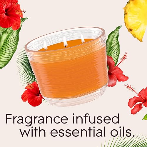 Miniatura 3 de Glade Hawaiian Breeze - Vela ambientadora de 3 mechas, infundida con aceites esenciales, 6.8 onzas, 3 unidades