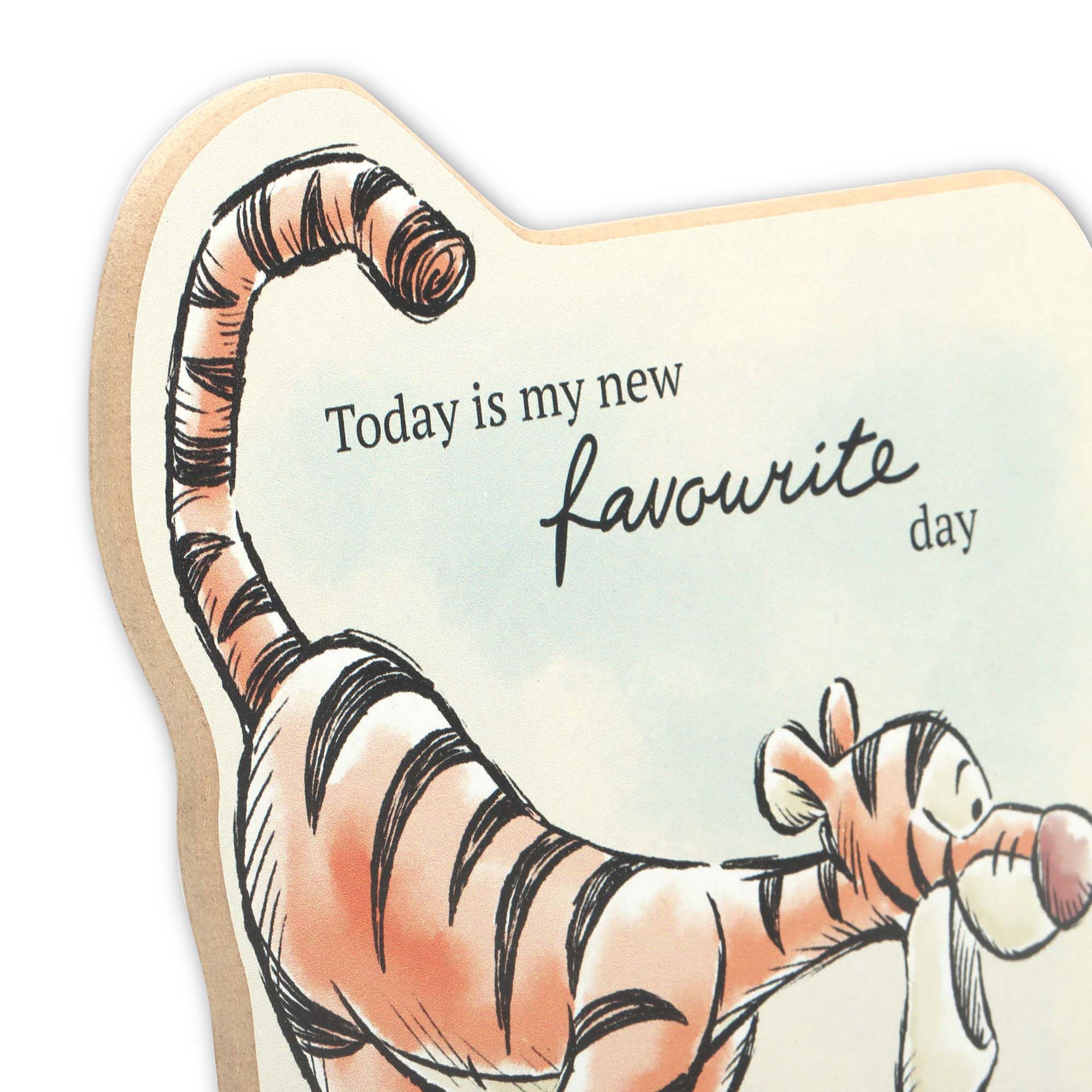 Amazon.com: Open Road Brands Disney Winnie the Pooh and Tigger