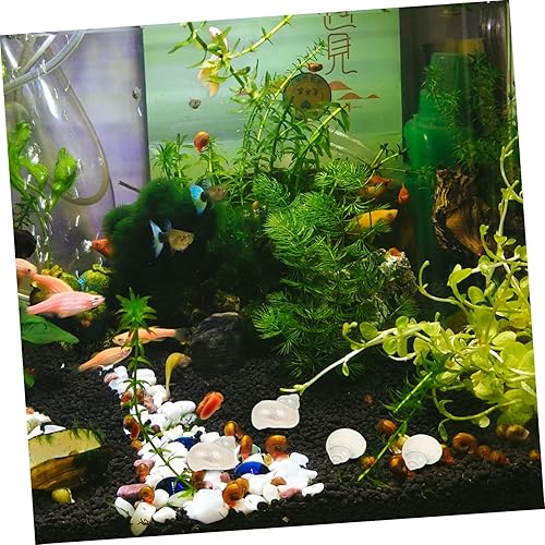 Miniatura 3 de BESTOYARD 50 Pcs Fish Tank Conch Fish Tank Shell Decors Ocean Themed Ornaments Nautical Shells Decoration Fairy Shells Ornaments Hand Decor