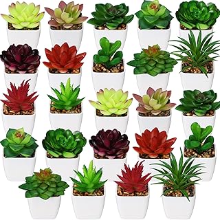 12 Kitchen Wall Shelf Ideas That Balance Style and Storage 56 Yunlly 24 Pack Artificial Succulents Plants Mini Fake Succulents in Pots...