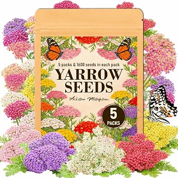8000+ Yarrow Seeds for Planting - 5 Packs Colors Mixed, Achillea Millefolium Perennial Wildflower, White, Gold, Red, Pink, Purple, Separate Packets 1600 Each, Attracts Bees & Butterflies