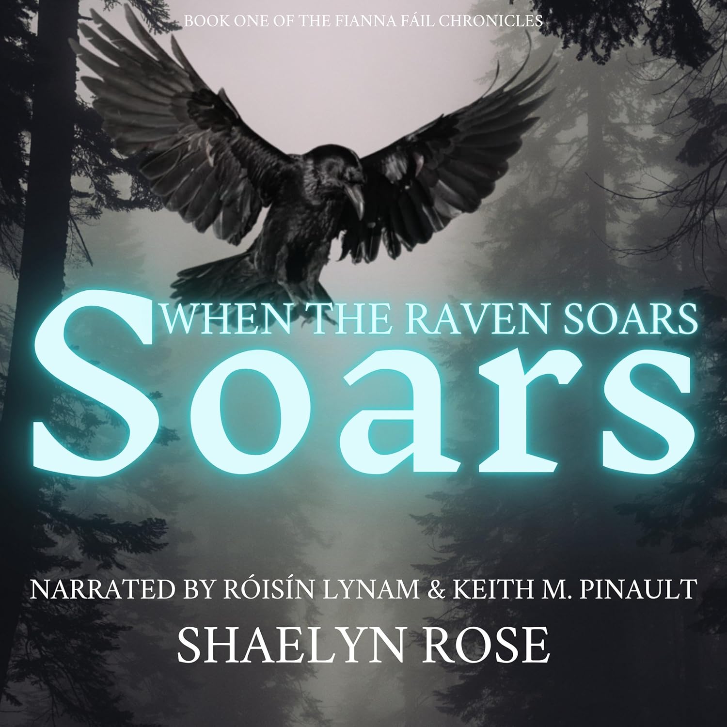 When the Raven Soars: The Fianna Fáil Chronicles, Book 1    
	                
	            

                 
                        Audible Audiobook 
                  
                        – Unabridged