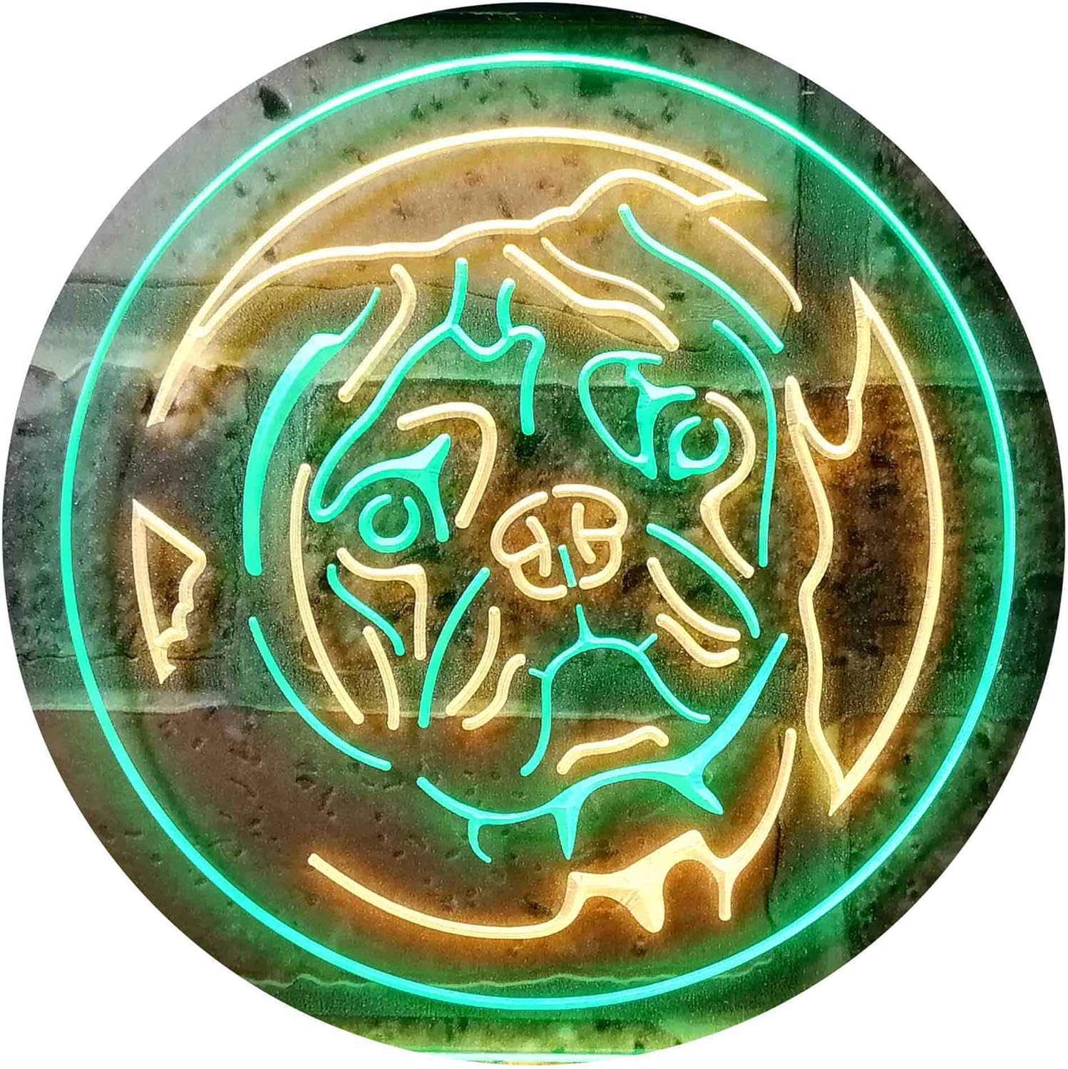 ADVPRO Pug Dog Bedroom Dual Color LED Neon Sign Green & Yellow 16" x 12" st6s43-i0682-gy