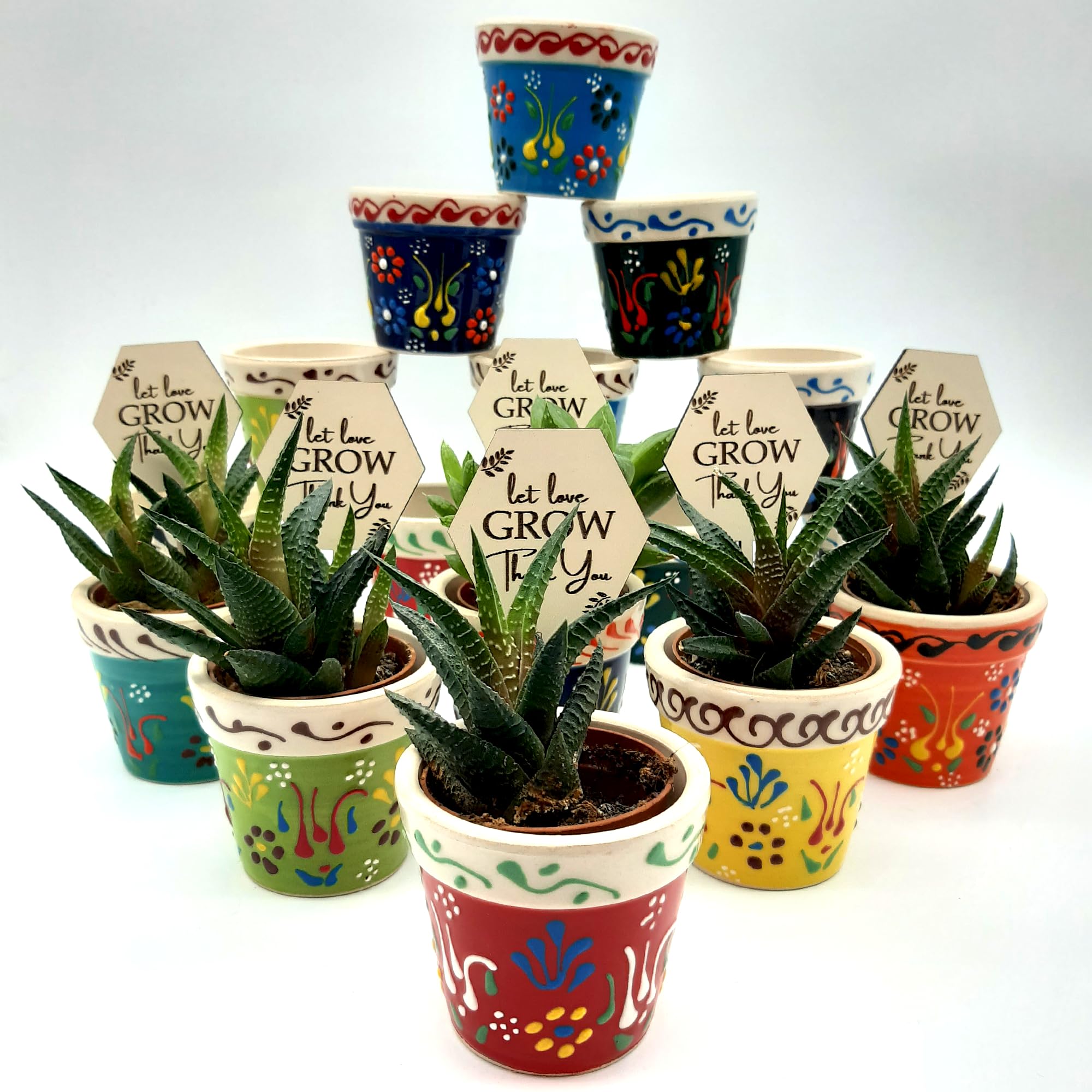 Bomboniere per ospiti, 16 set di vasi per piante grasse con etichette in legno per regali di addio al nubilato, vaso in ceramica per bomboniere baby shower, elegante bomboniera di ritorno