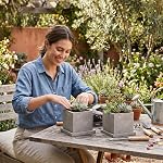 MyGift 5-Inch Pot de ciment gris clair carré avec drainage, Planteurs à petites fleurs avec bacs à soucoupes amovibles, Ensemble de 2