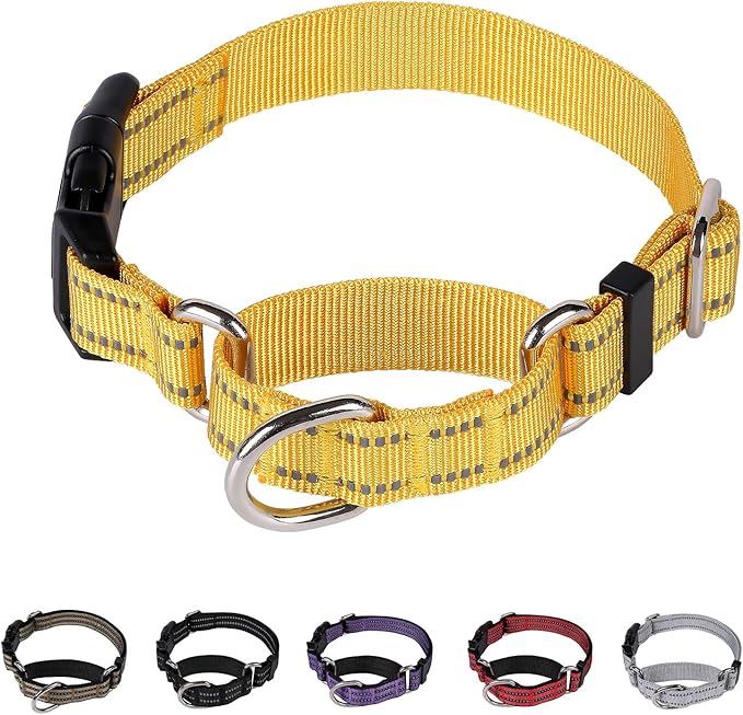 Martingale Dog Collars Reflective Dog Collar with Quick