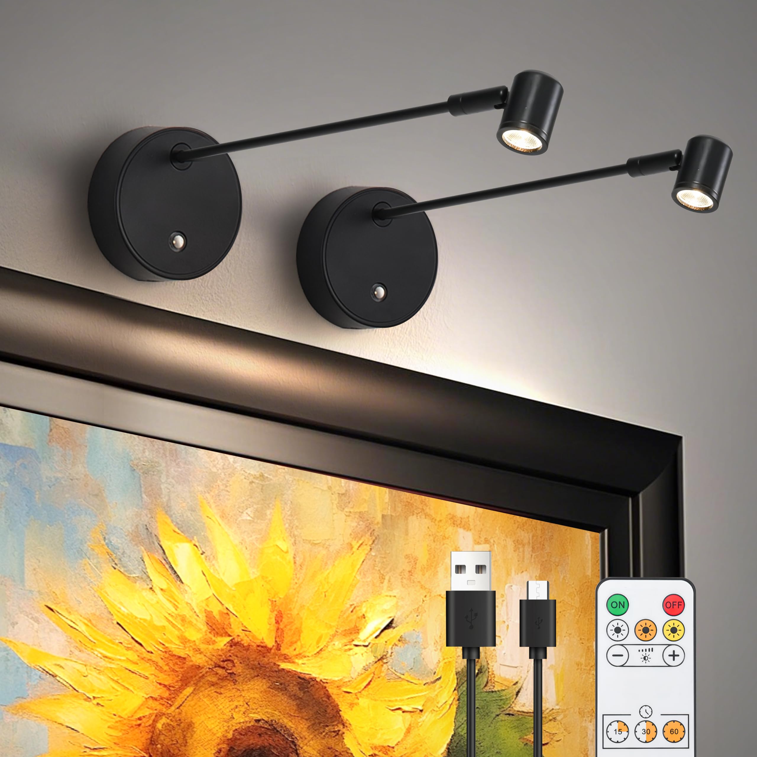 Lights for Pictures On Wall, Battery Operated Picture Light Rechargeable, Black Led Art Lighting for Paintings Wireless with Remote Magnetic Stick Dimmable and Timer?2 Pack