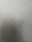 Review Image by Amazon Customer Amazon Customer
