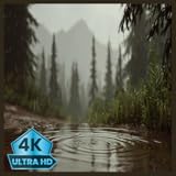 窓の外に降る雨 アンビエント 4K ス�