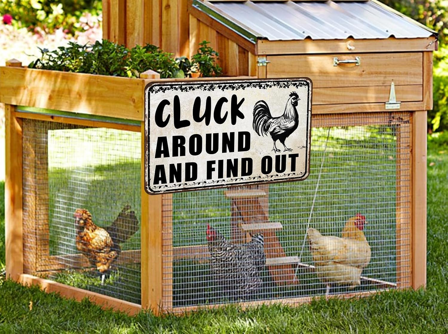 Funny Chicken Coop Signs Rooster Decorations Decor Accessories Gifts Stuff