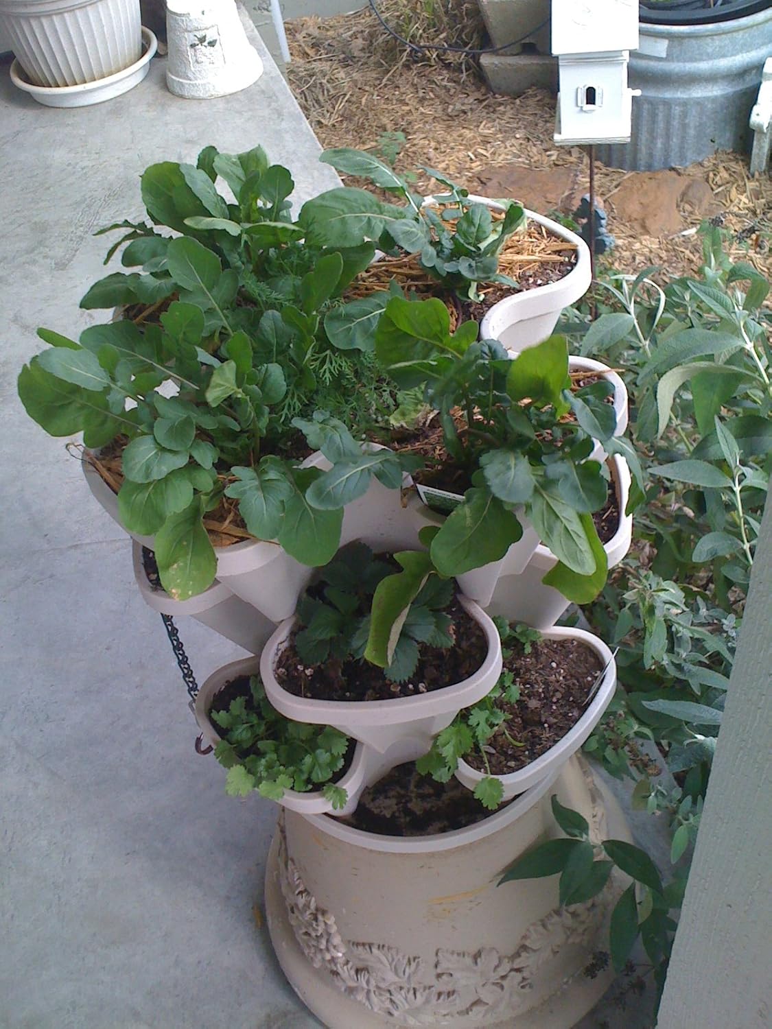 Mr. Stacky 3 Tier Stackable Herb Garden Planter Set with Bottom Saucer - Stone Color - Vertical Container Pots for Herbs, Strawberries, Flowers