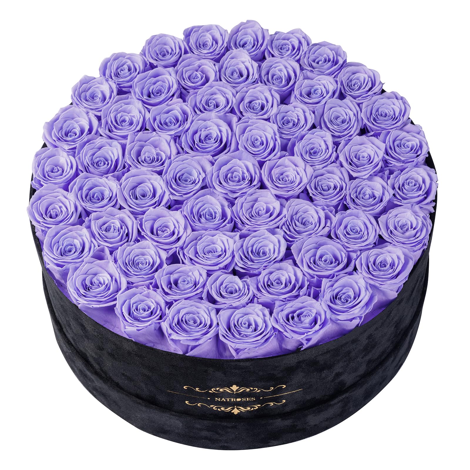 NATROSES 60 Preserved Roses