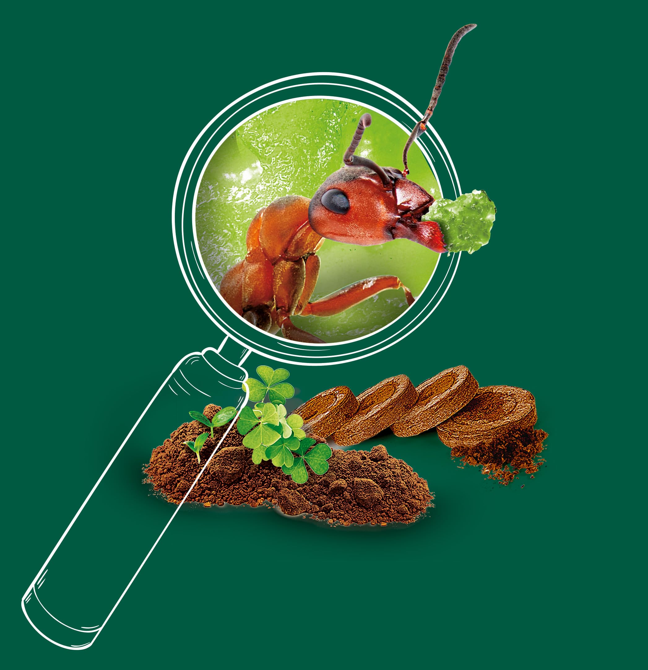Clementoni La Ciudad de Las Hormigas - Juguete científico para Aprender de los Insectos, CREA un Mundo para Hormigas con Distintos ambientes, a Partir de 7 años, Juguete en español (55508)