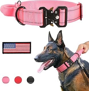 doberman collars and leashes