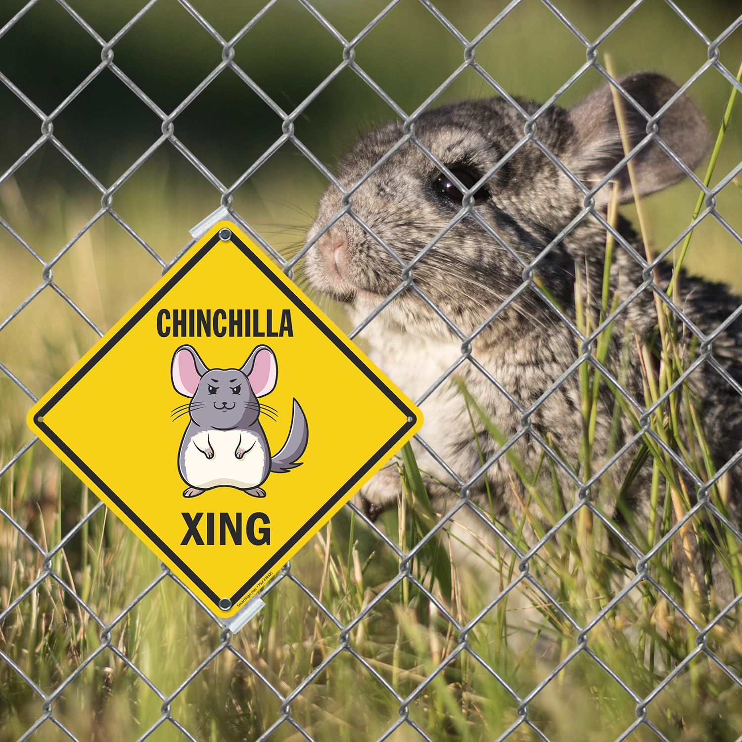 Lustiges Hamster-Xing Schild – Diamantform, Aluminium, Laminiert, Für Garten & Café