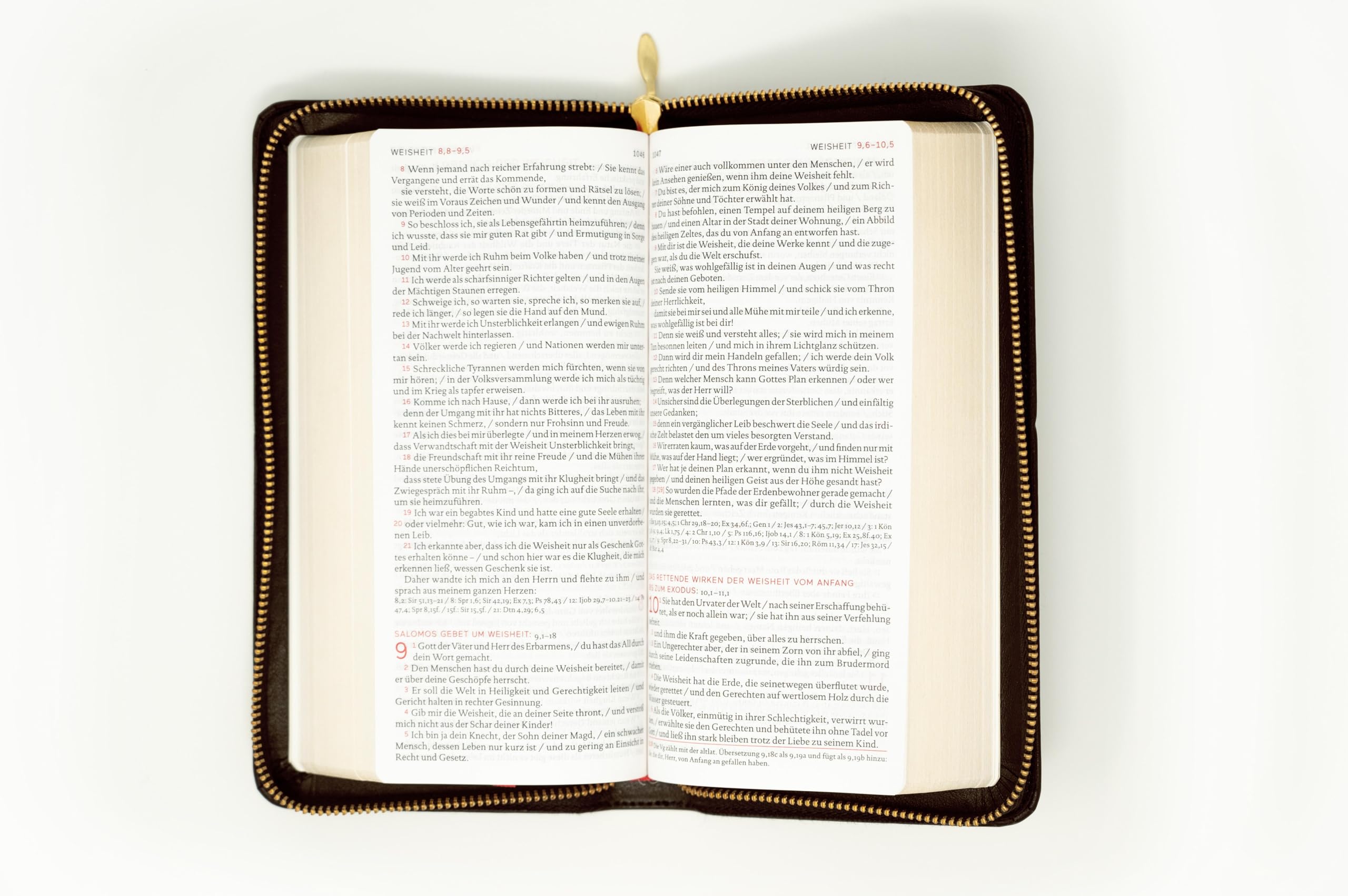 Die Bibel: Taschenausgabe in braunem Echtleder: Einheitsübersetzung