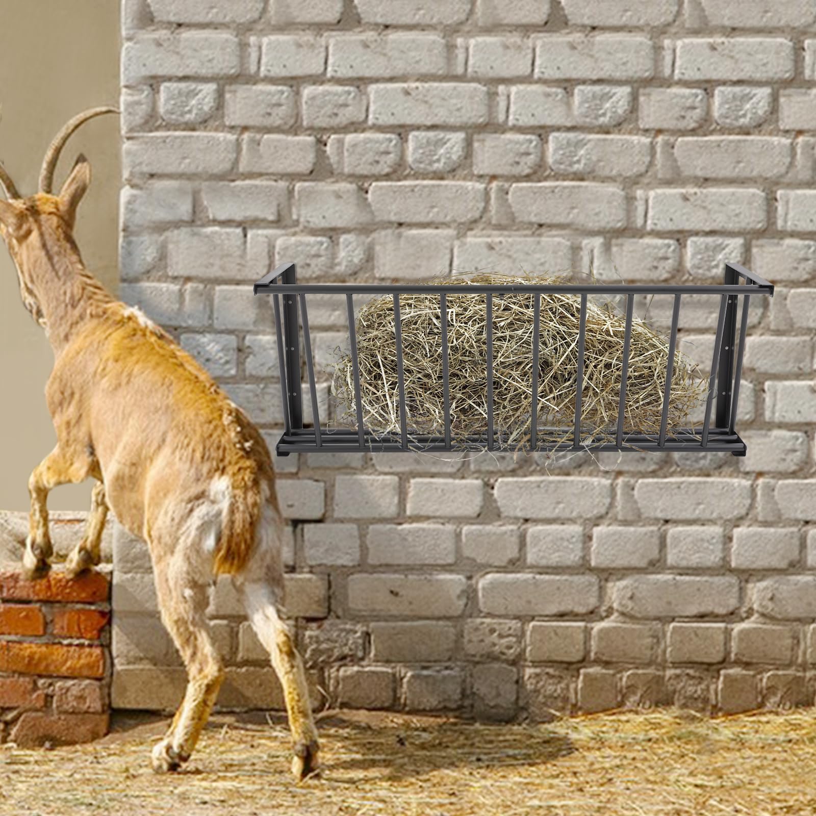 Râtelier à foin en forme de cheval avec plusieurs ouvertures d'alimentation - Distributeur de nourriture mural pour moutons, chèvres, chevaux - 102 x 24 x 40 cm