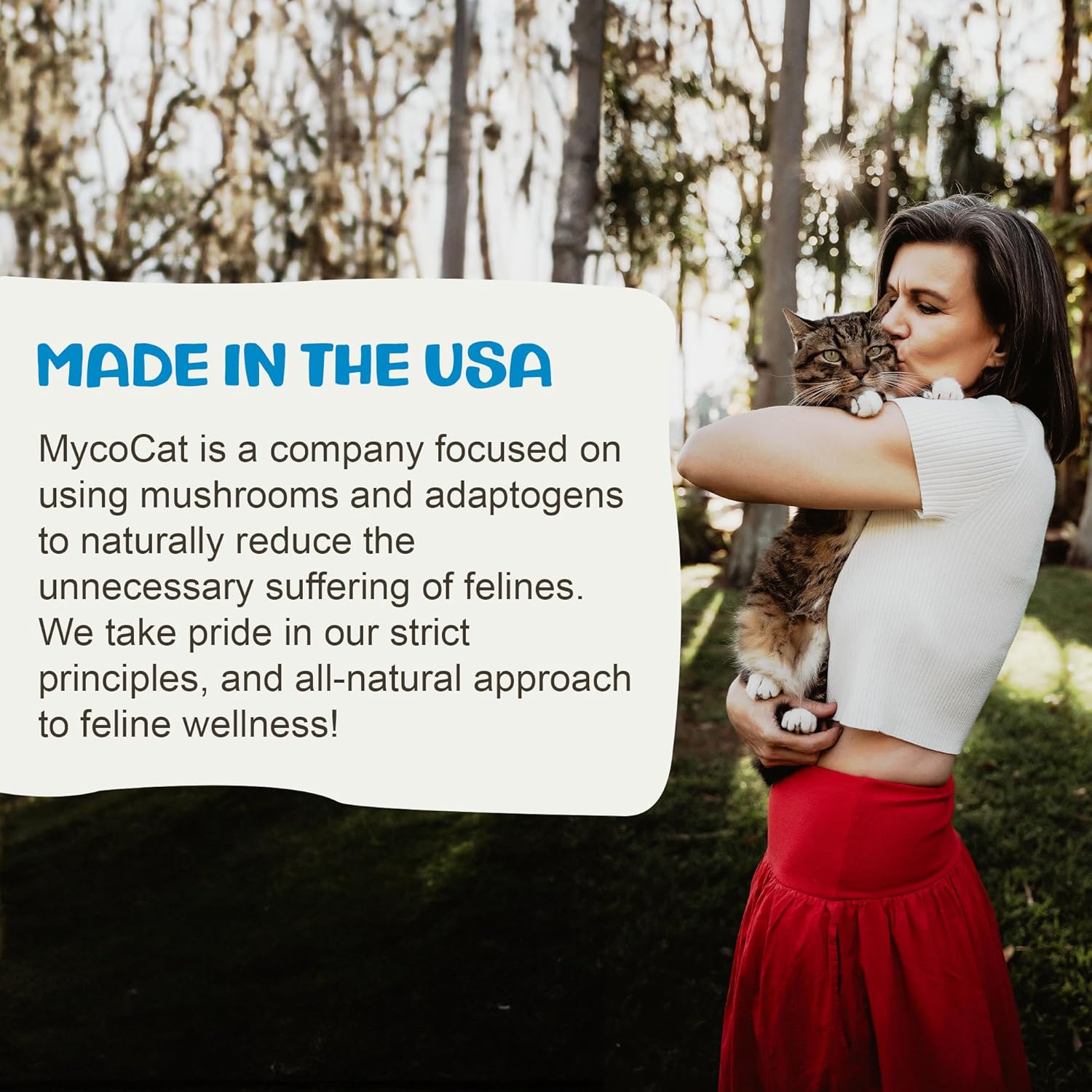 MycoCat Digest - Mushroom Extract & Adaptogen Tincture Cat Supplement - Cat Digestive Support Blend - Roots, Herbs, & Mushroom Extracts Including Chaga, Shiitake, & Turkey Tail