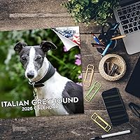 Vista 326 de Razas de Perros 2017