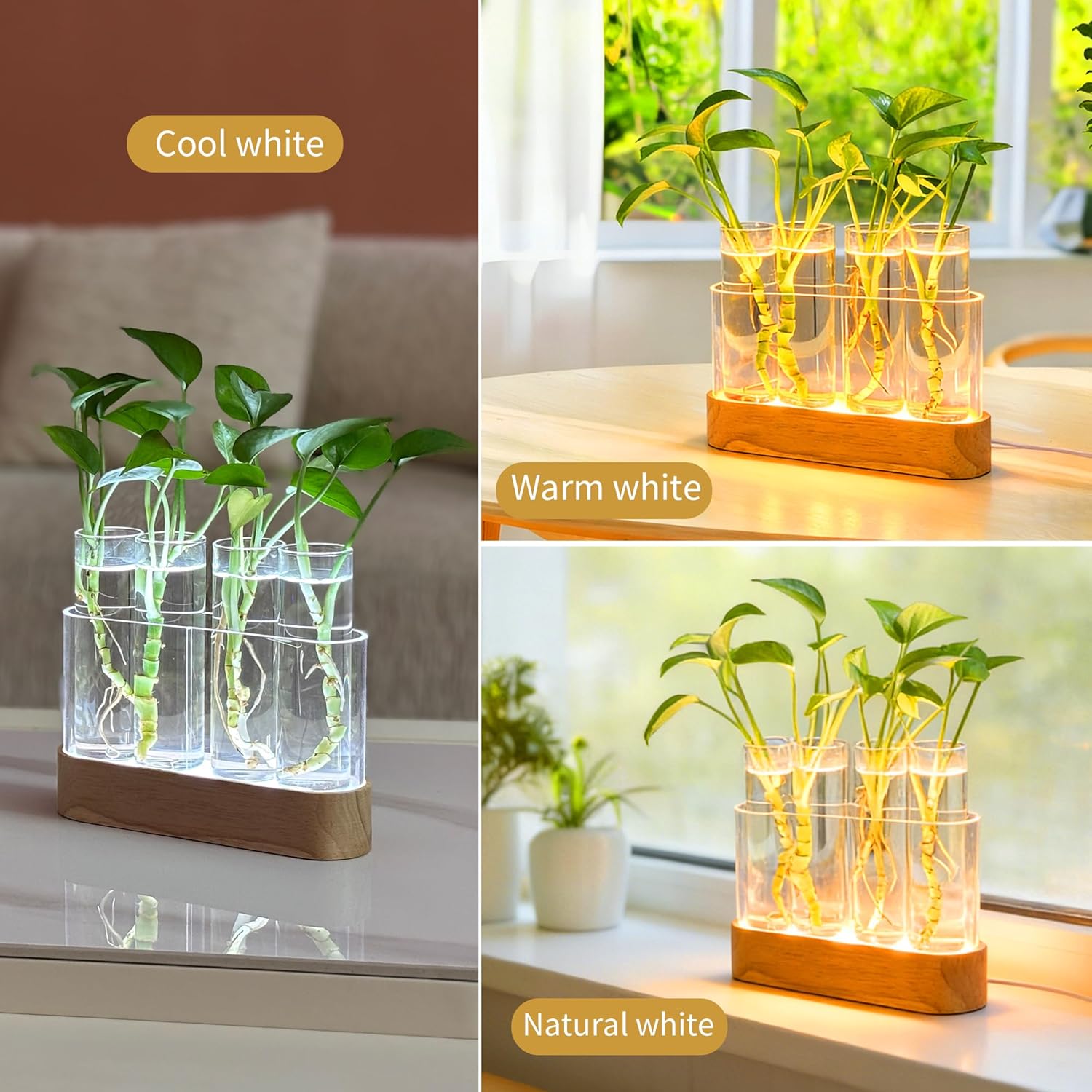 Plant Propagation Station with LED Lights, Wooden Stand, 4 Glass Test Tubes for Hydroponic Plants, 3 Lighting Modes 9 Brightness, Unique Gift for Plant Lovers - Image 5