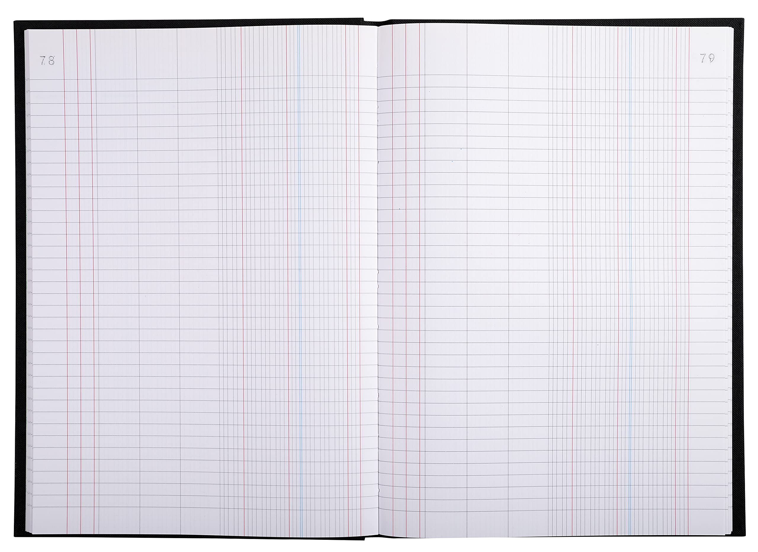 Le Dauphin - Réf. 397212D - 1 Registre - Dimensions 29,7 X 21 cm - Format vertical A4 - Imprimé Journal - papier intérieur 90 grammes - 200 pages numérotées - couverture rigide en toile noire