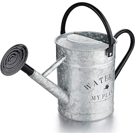 Galvanized Watering Can: A Stylish and Practical Enhancement for Your Indoor and Outdoor Plants