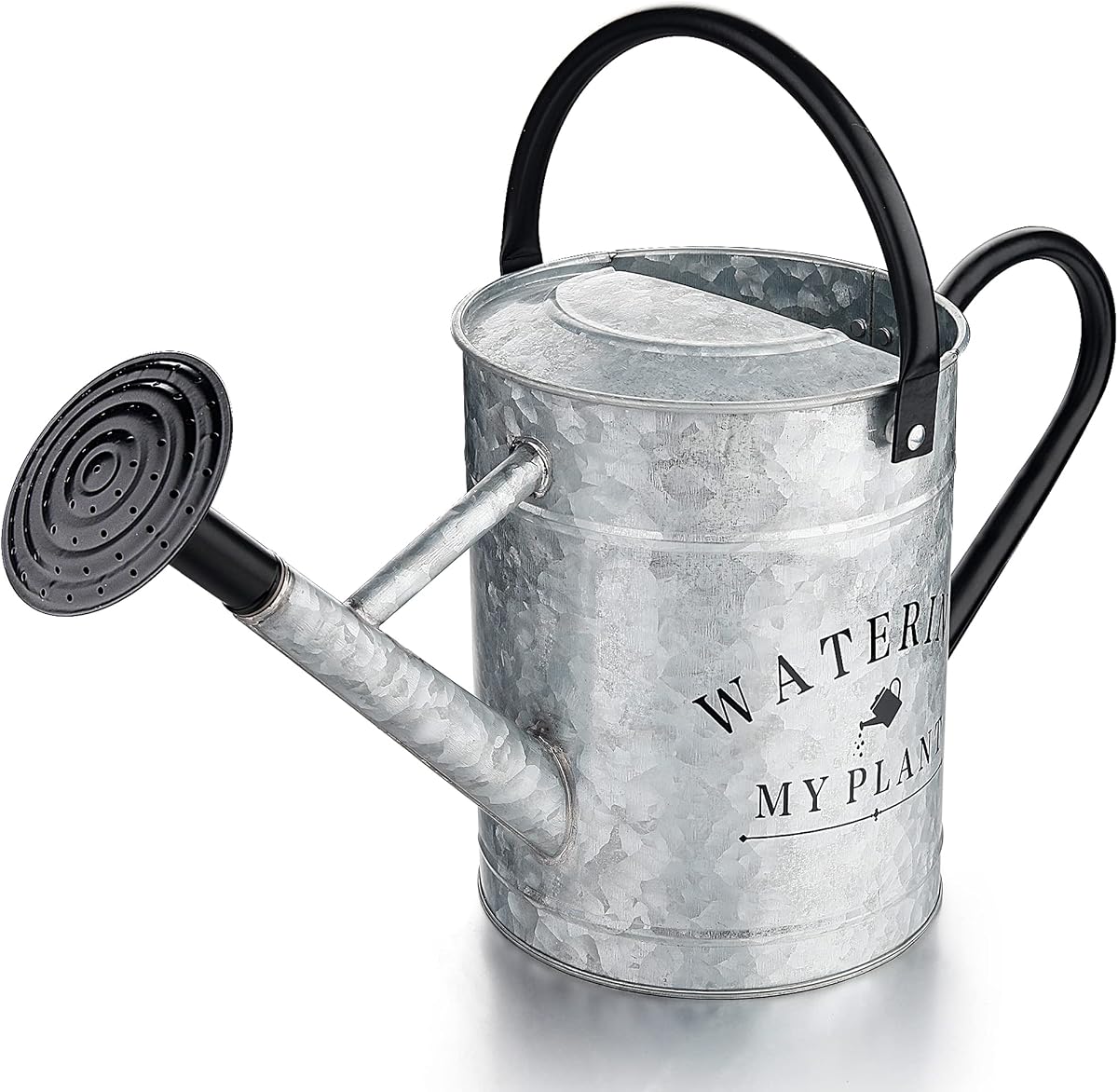 Galvanized Watering Can for Outdoor Indoor Plants, 1 Gallon Decorative Countryside Style Water Can with Removable Spout, Perfect Metal Watering Can for Indoor Plants and Garden Flower