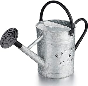 Garutom Galvanized Watering Can for Outdoor Indoor Plants, 1 Gallon Decorative Countryside Style Watering Can with Removable Spout, Perfect Metal Watering Can for Indoor Plants and Garden Flower