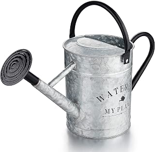 Garutom 1 Gallon Galvanized Watering Can with Removable Spout - Durable Metal Vintage Style for Indoor Outdoor Plants