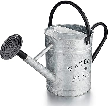Garutom Galvanized Watering Can for Outdoor Indoor Plants, 1 Gallon Decorative Countryside Style Water Can with Removable Spo