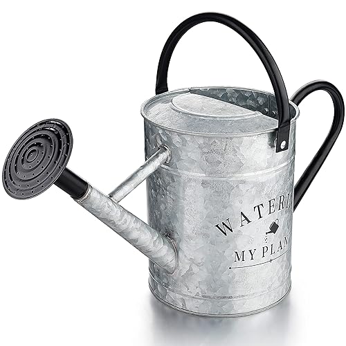 Garutom Galvanized Watering Can for Outdoor Indoor Plants, 1 Gallon