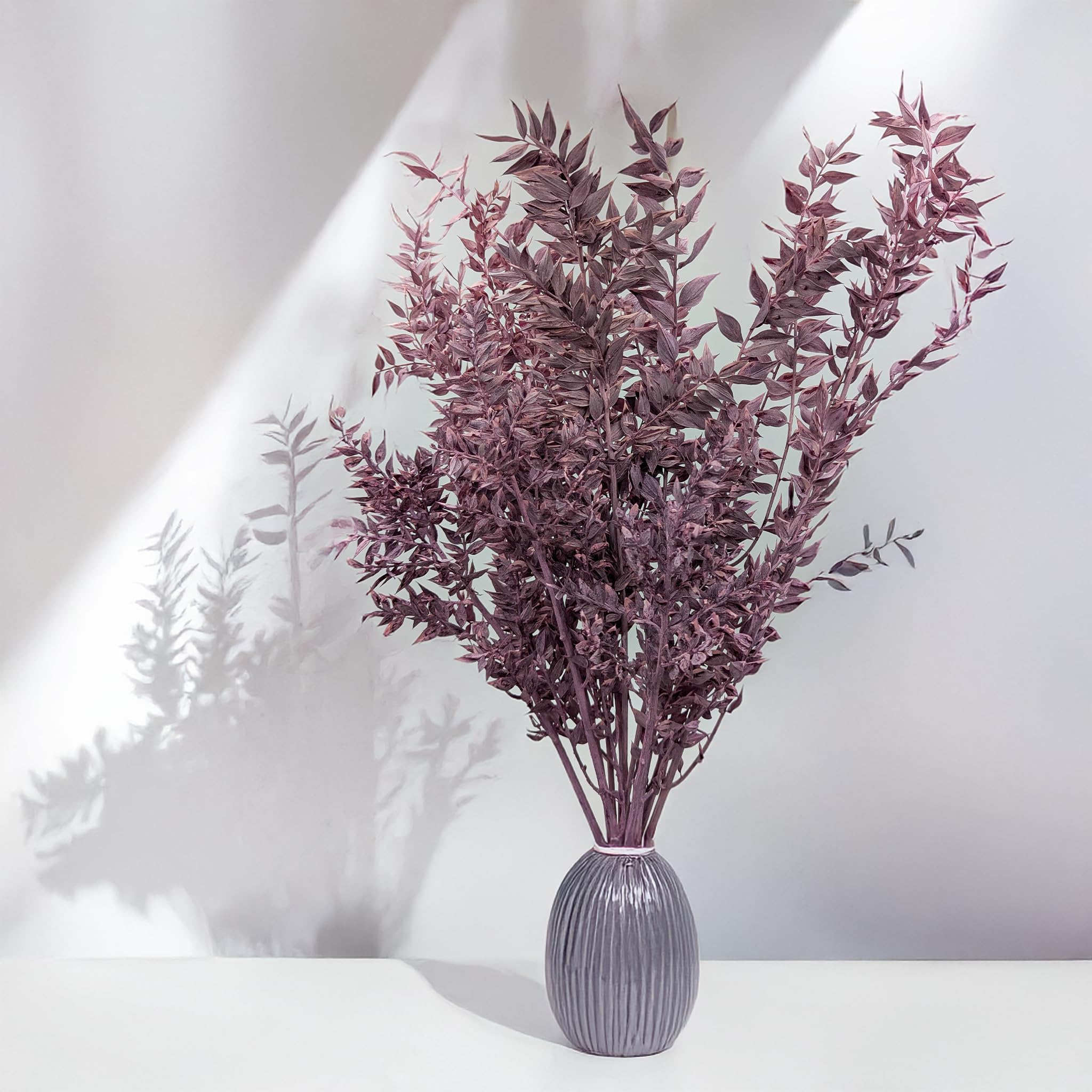 Enchanted Fleurs Séchées Naturelles, Ruscus Stabilisé, 100 g, Violet Mat