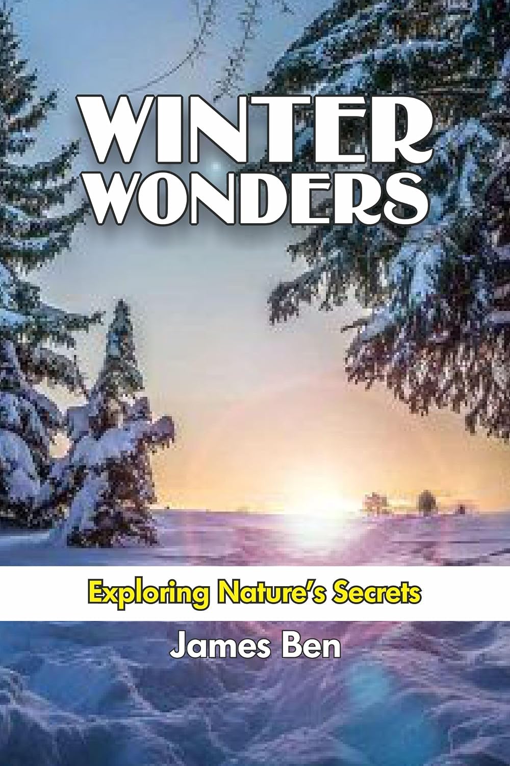 Winter Wonders: Exploring Nature's Secrets