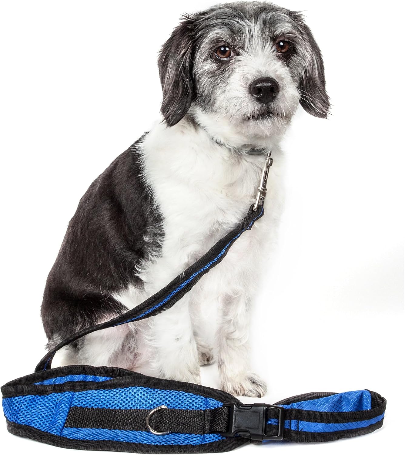 Pet Life Echelon Training Dog Leash - Hands-Free 2-in-1 with Pouch - Blue image 2