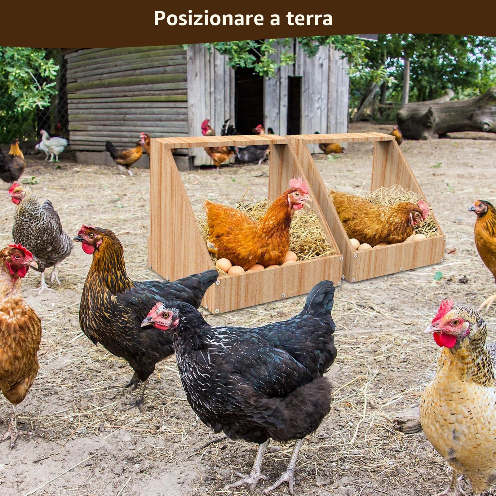 Nido per galline ovaiole a 2 posti, con un cesto più capiente per le uova di gallina in legno, nido di pollo per montaggio a parete con pittura impermeabile, 35,3 x 35,3 x 34,2 cm