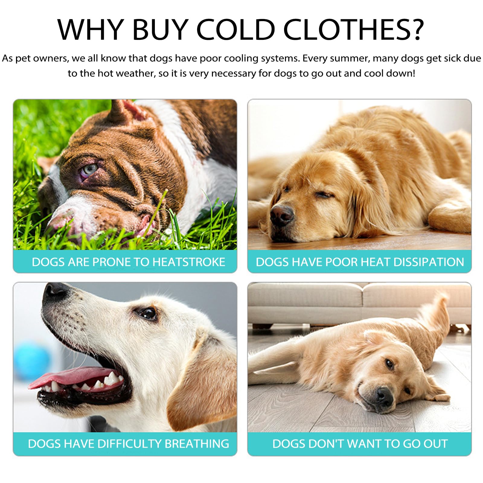 TYXHXTF Gilet Rinfrescante per Cani, Giacca di Raffreddamento Traspirante per Cani, Protezione Solare UV Efficace Cappotto Rinfrescante Cane per Attività Esterne (M)