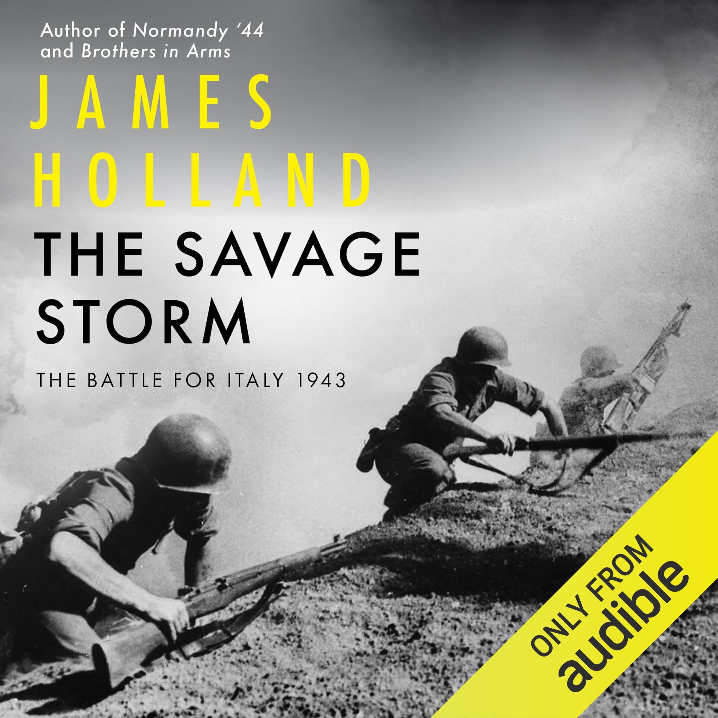 Cover art for The Savage Storm