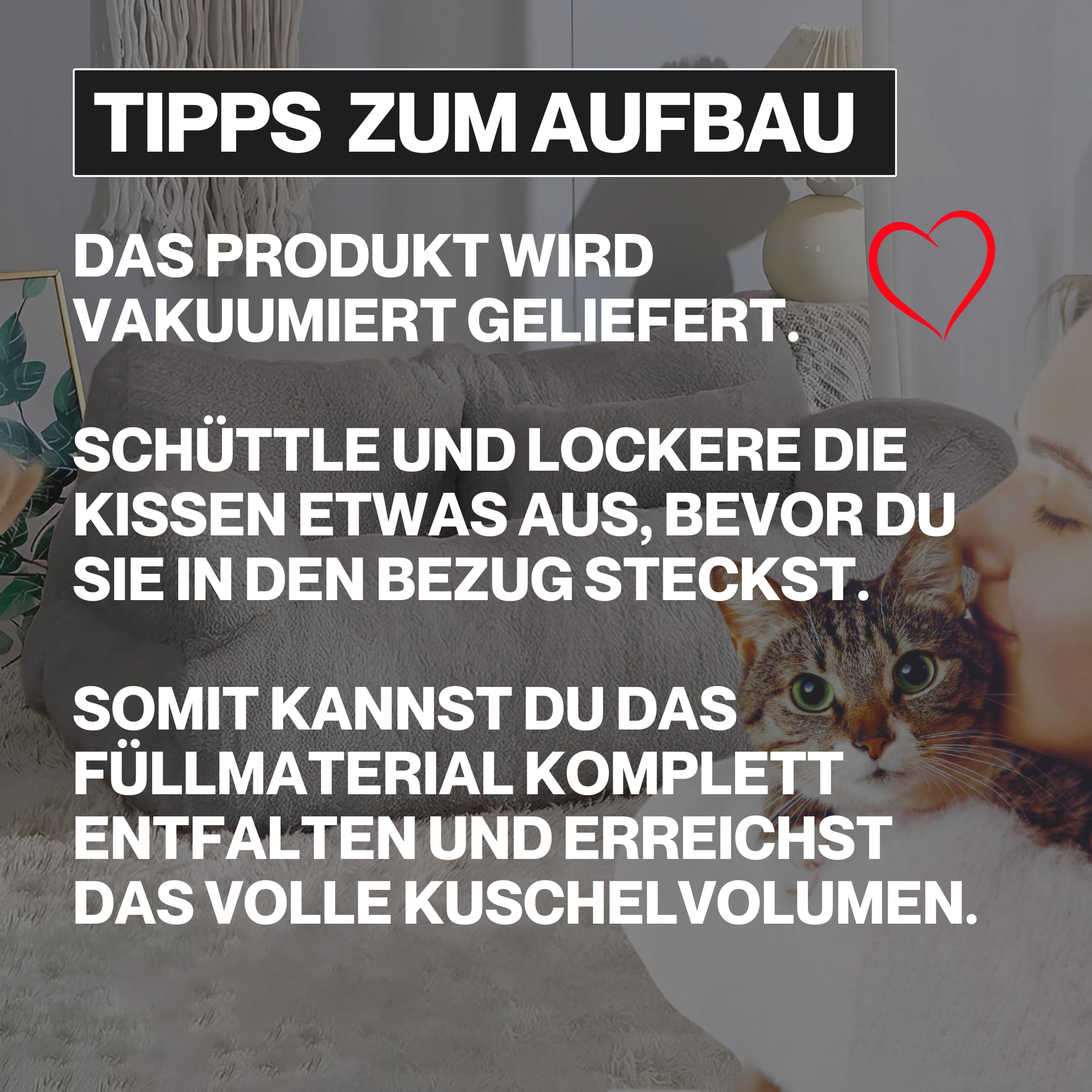 Katzensofa Simba Katzen Hundesofa in Grau | Inklusive Mini-Kissen | 70x48cm | Katzenbett Hundebett kleine Hunde | Flauschig ausreichend gefüttert | Bezug abnehmbar