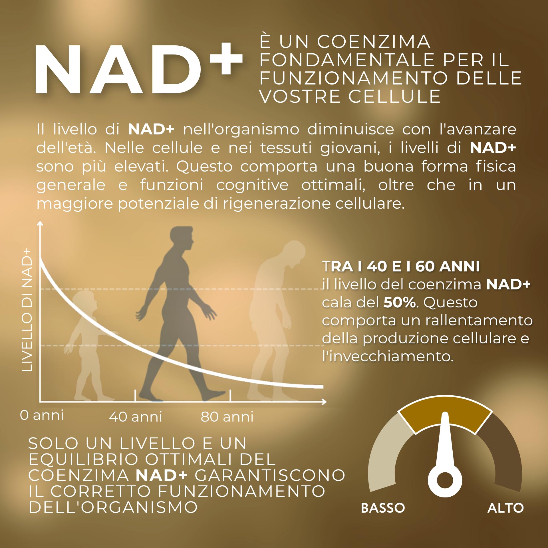 1-MNA PRO, Integratore Anti-Età, Ottimizza NAD+, Doppia Dose per Effetti Più Rapidi, Biohacking, Supporto per la Salute Cellulare, Biodisponibilità Maggiorata, 30 Compresse