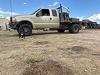 Review Image by Paul Winston Paul Winston