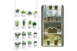 Clear Window Plant Shelf, 4-Tier Acrylic Hanging Wall Mount Display for Indoor Display and Organization