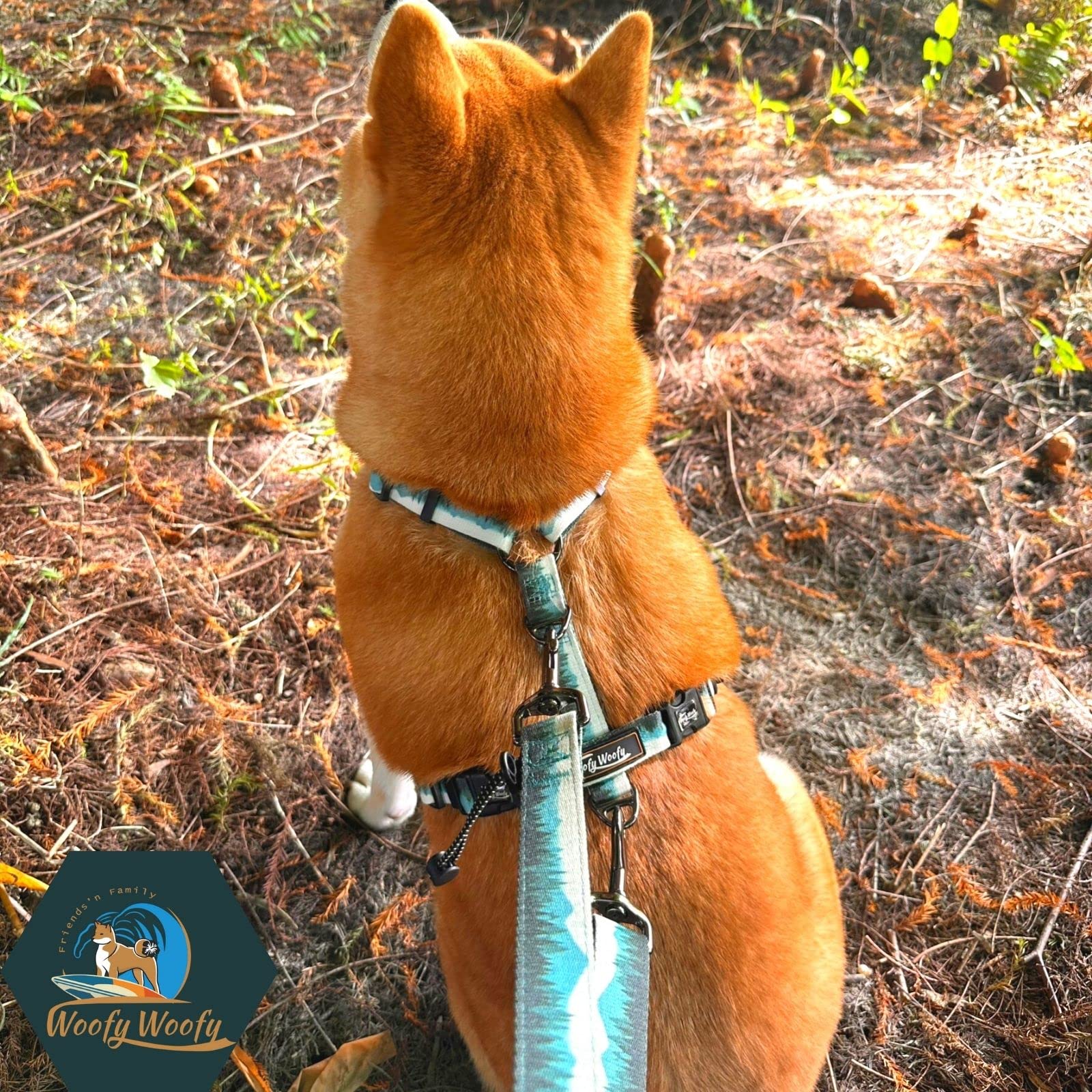 Arnés casual H para perro, arnés ajustable para perro, sin tirones, para uso diario y entrenamiento con acolchado suave (L)