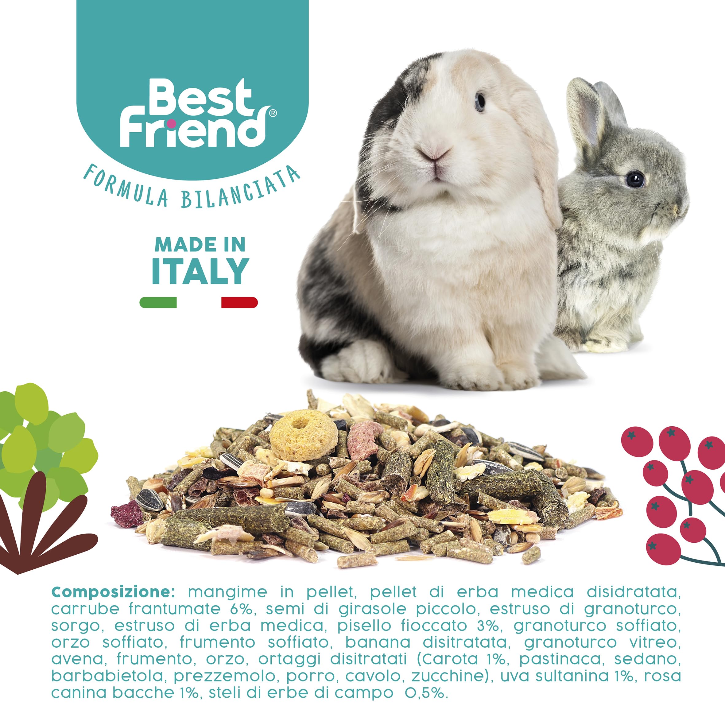 Best Friend Aliment Complet pour Lapins Nains avec Baies de Rose musquée, Pois floqué, caroube, Raisin sultanine. Aliments pour rongeurs avec ingrédients naturels, fabriqués en Italie | Lot de 6