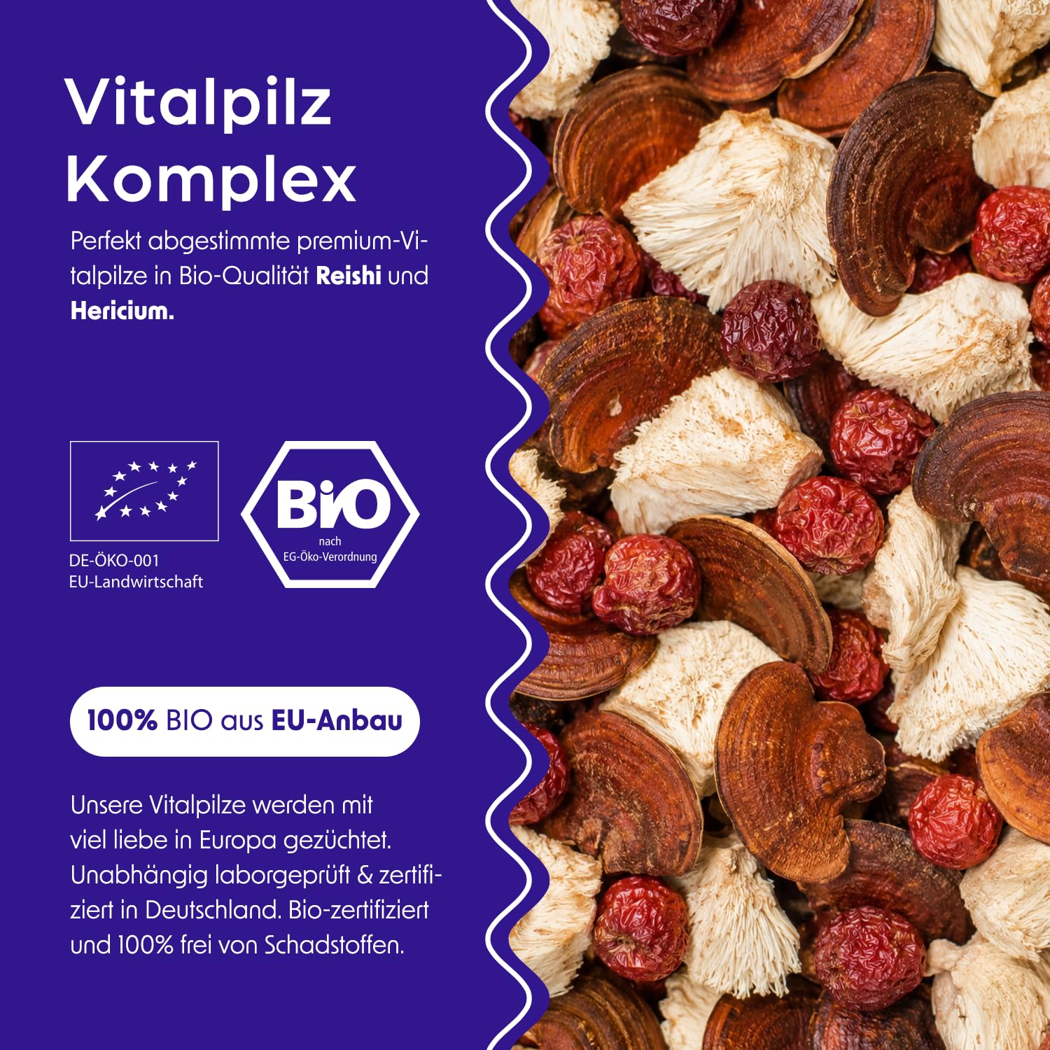 smaints Bio Reishi & Hericium Flüssigextrakt | Bio-Vitalpilz-Dualextrakt mit über 40% Polysacchariden | Hochdosiert maximale Bioverfügbarkeit | Vitamin C zur Unterstützung des Nervensystems* am Abend